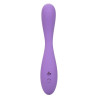 Calexotics - Contour Demi-Violet